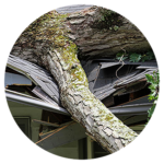 Storm-Damage-Icon-copy