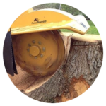 Stump-Grinding-Icon-copy